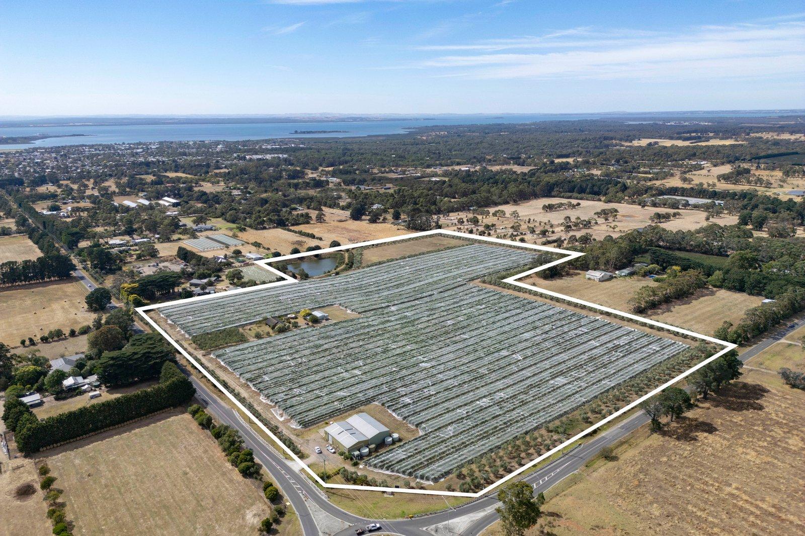 191 Coolart Road, Hastings, 3915