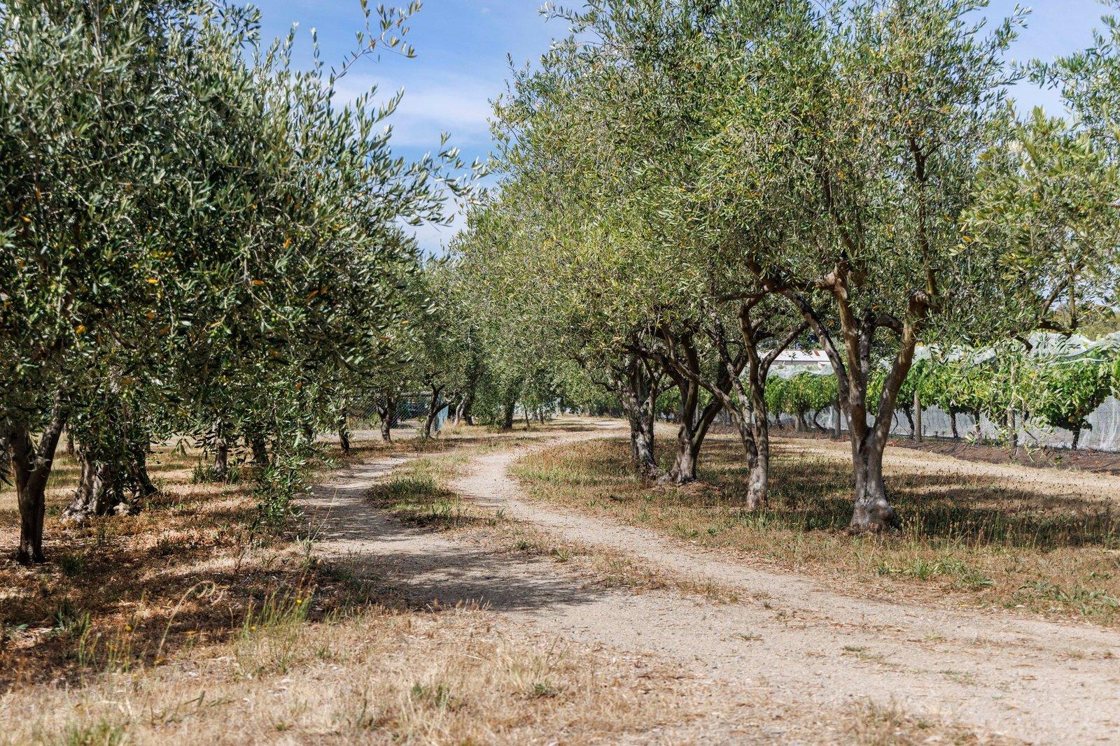 191 Coolart Road, Hastings, 3915