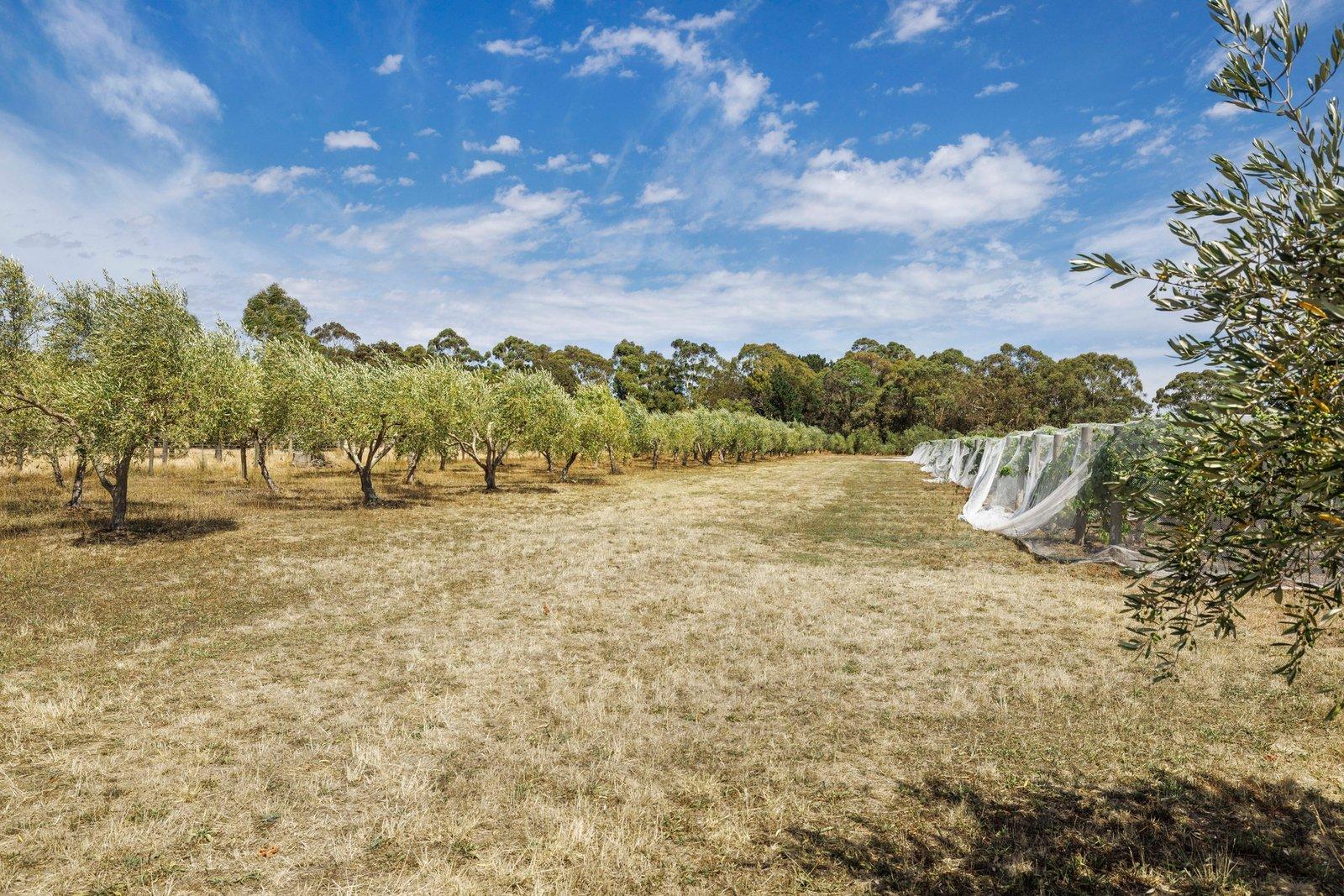 191 Coolart Road, Hastings, 3915