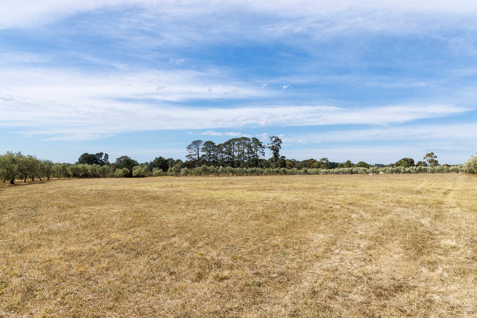 191 Coolart Road, Hastings, 3915