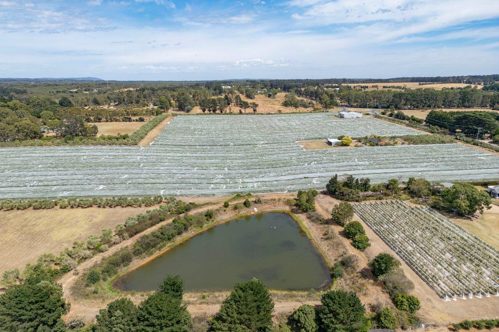 191 Coolart Road, Hastings, 3915