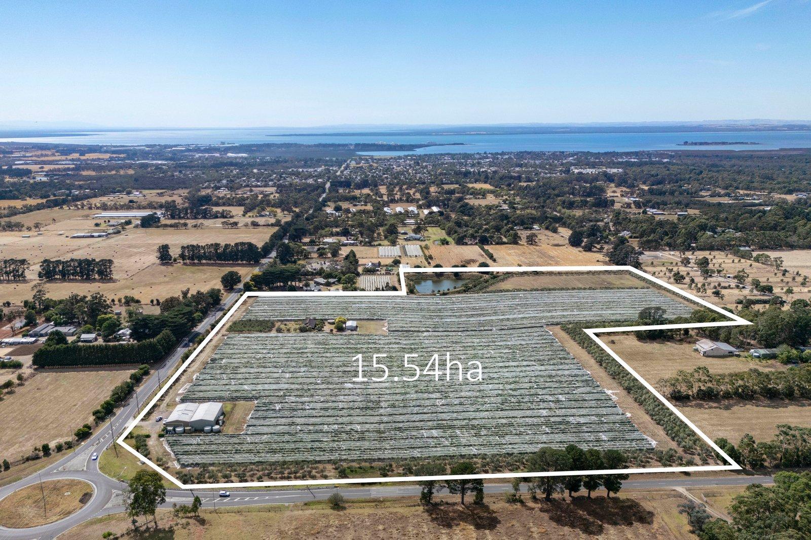 191 Coolart Road, Hastings, 3915