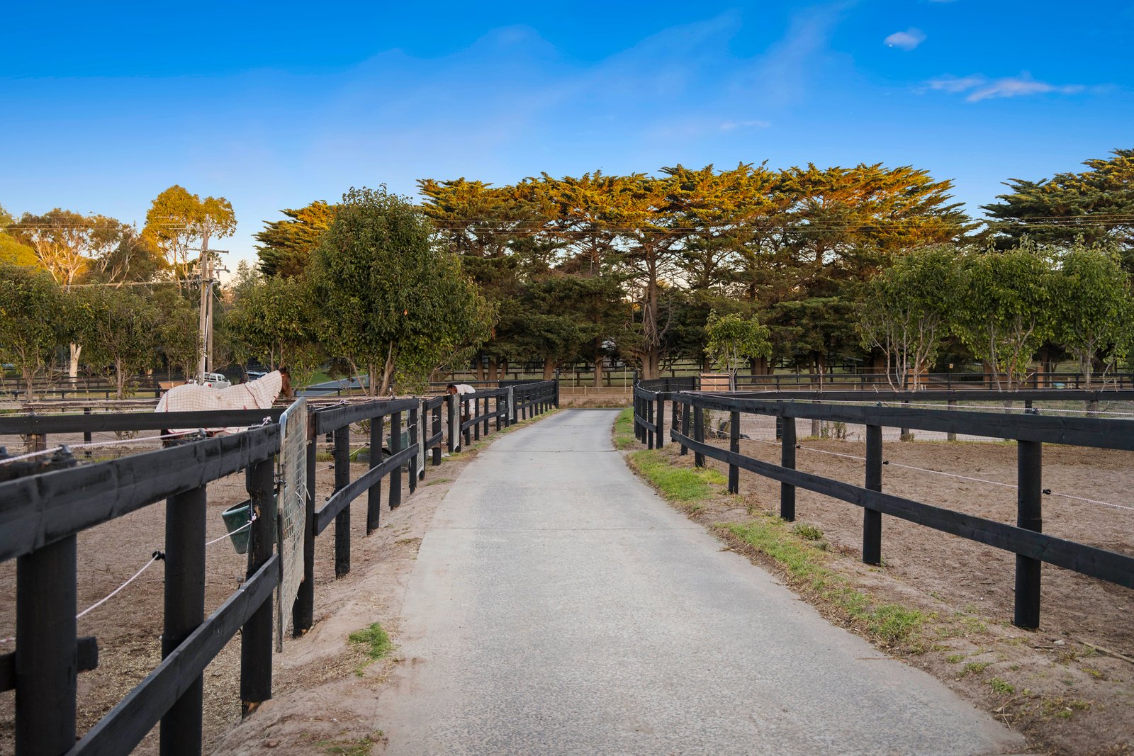 195 Roberts Road, Mornington, 3931