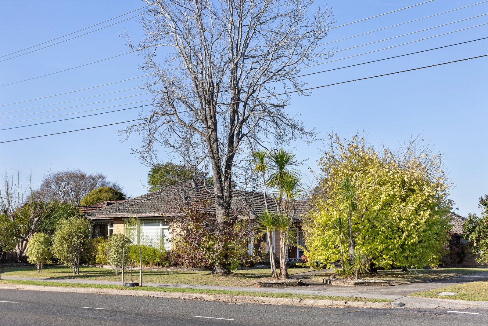 20 Cummins Road, Brighton East, 3187