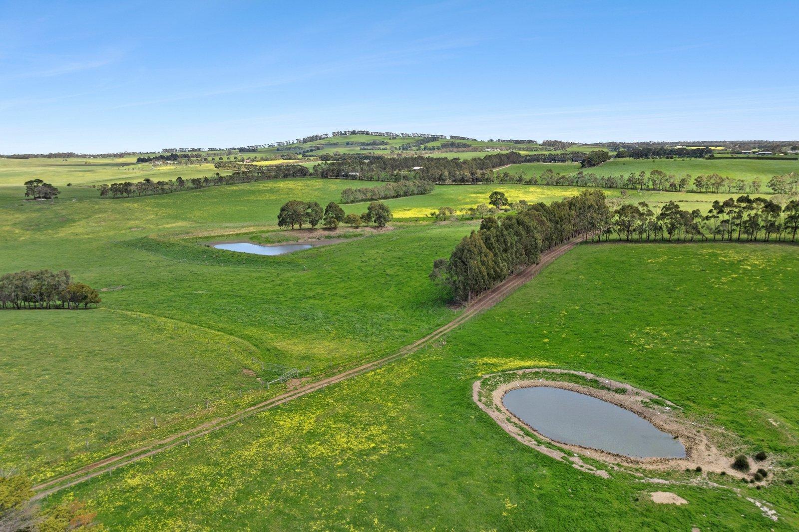 204 Andersons Road, Barrabool, 3221