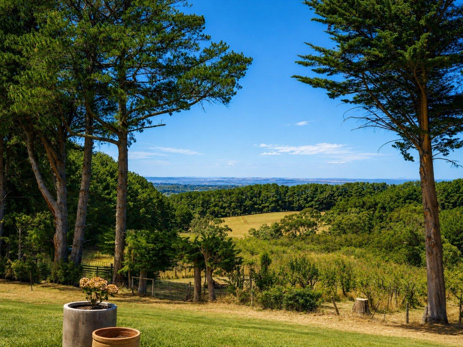 231 Red Hill Road, Red Hill South, 3937