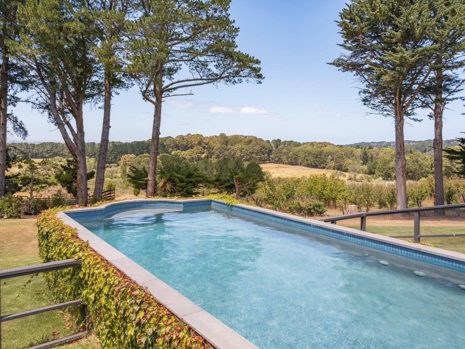 231 Red Hill Road, Red Hill South, 3937