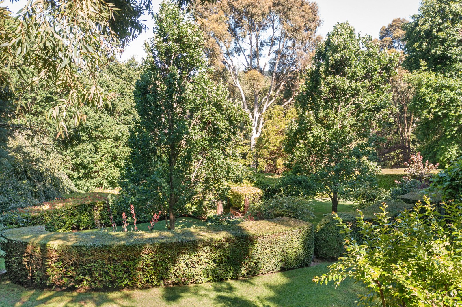 237 Barkers Road, Main Ridge, 3928