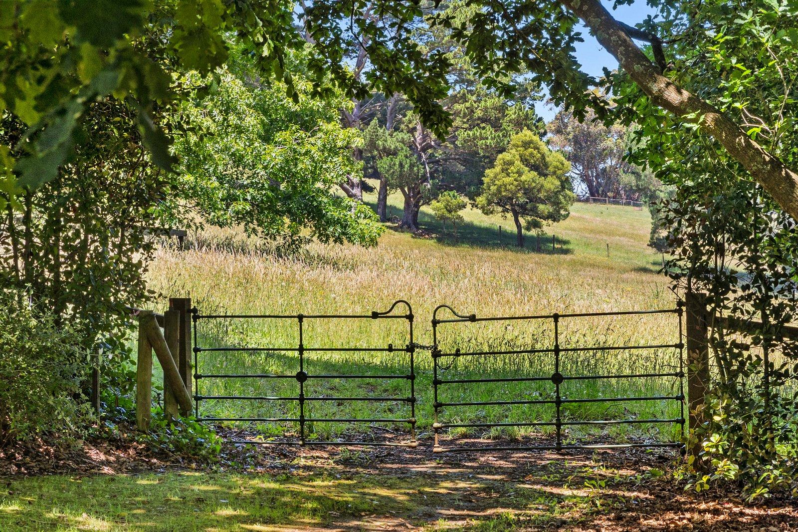 237 Barkers Road, Main Ridge, 3928