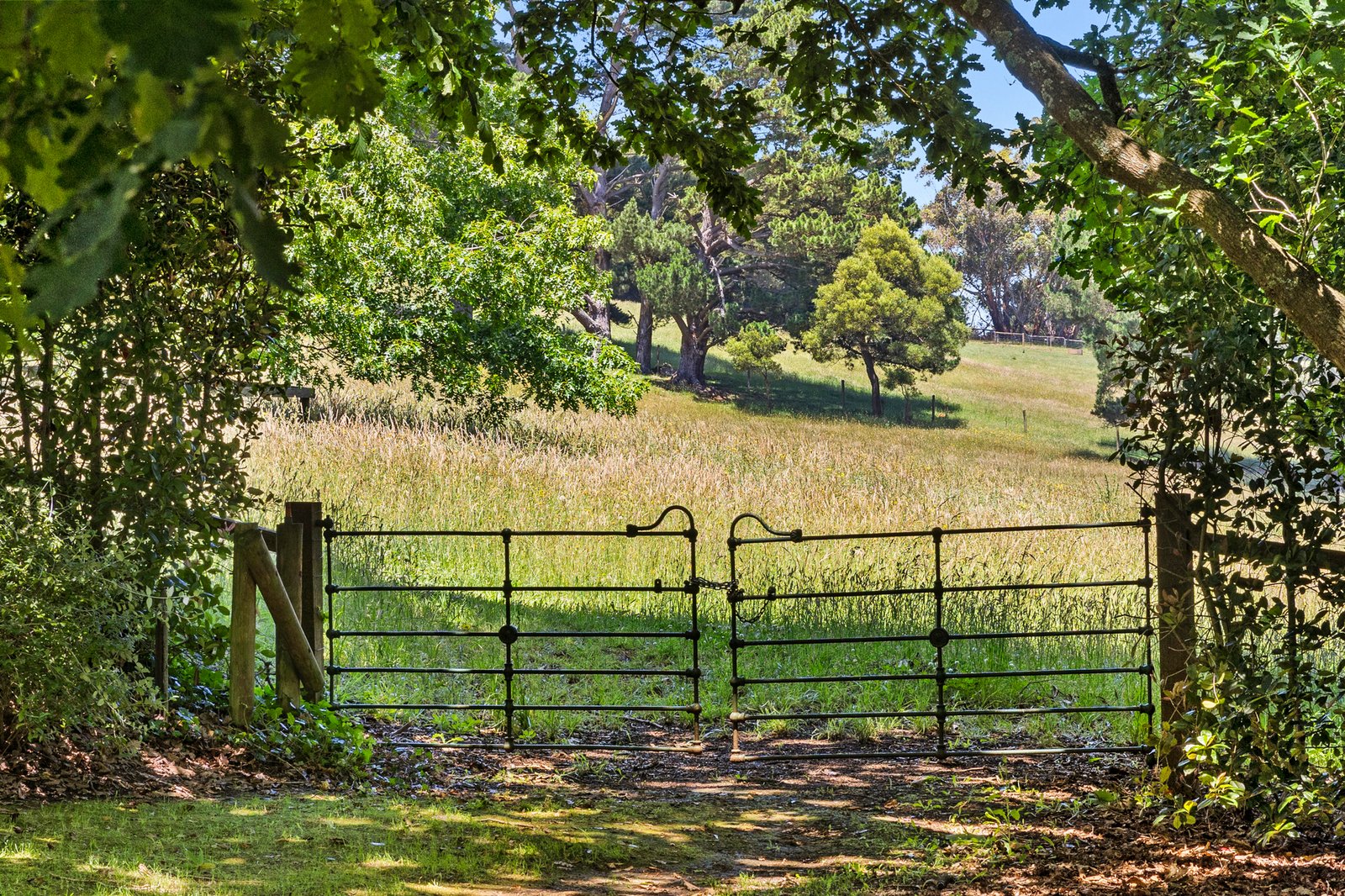 237 Barkers Road, Main Ridge, 3928