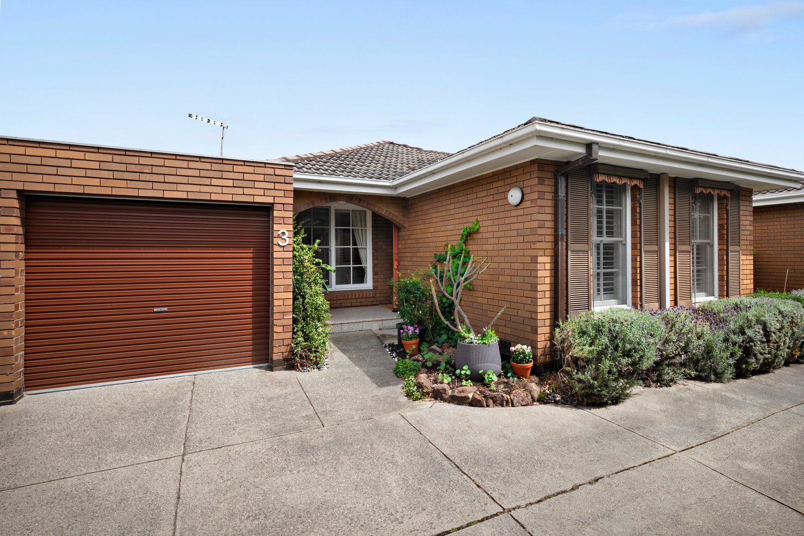 3/123 Cochrane Street, Brighton, 3186