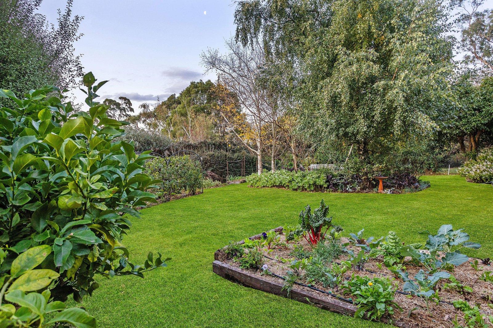 32 Seahaze Street, Arthurs Seat, 3936