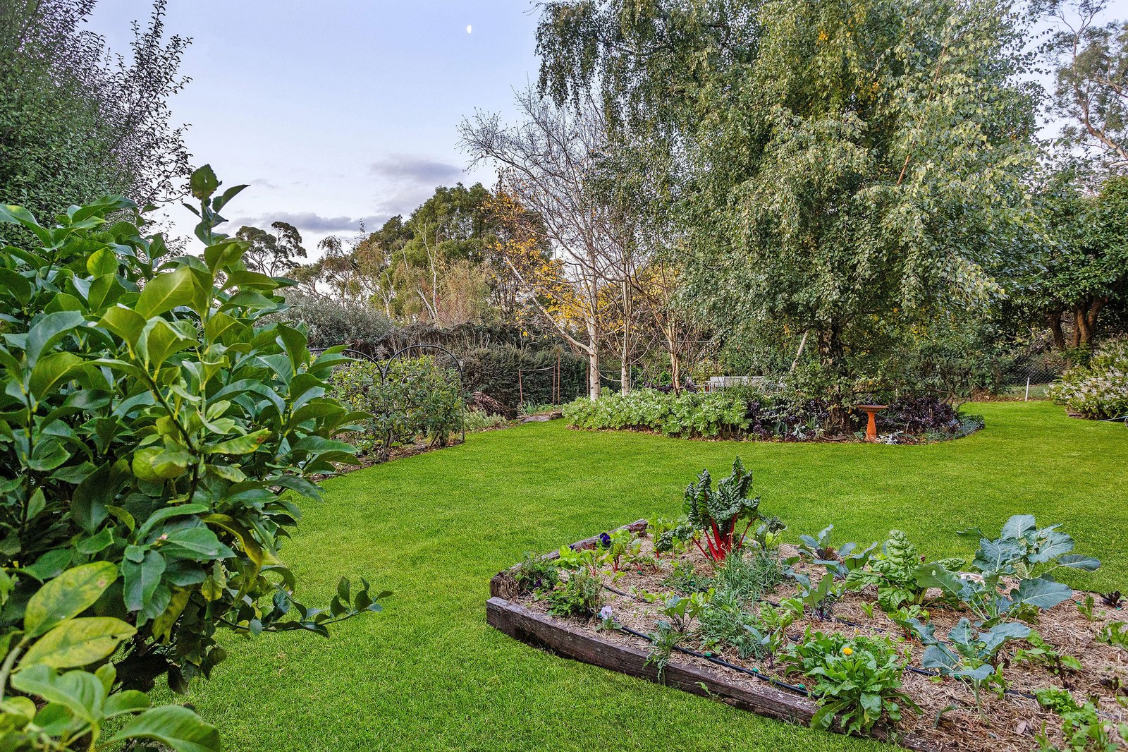 32 Seahaze Street, Arthurs Seat, 3936