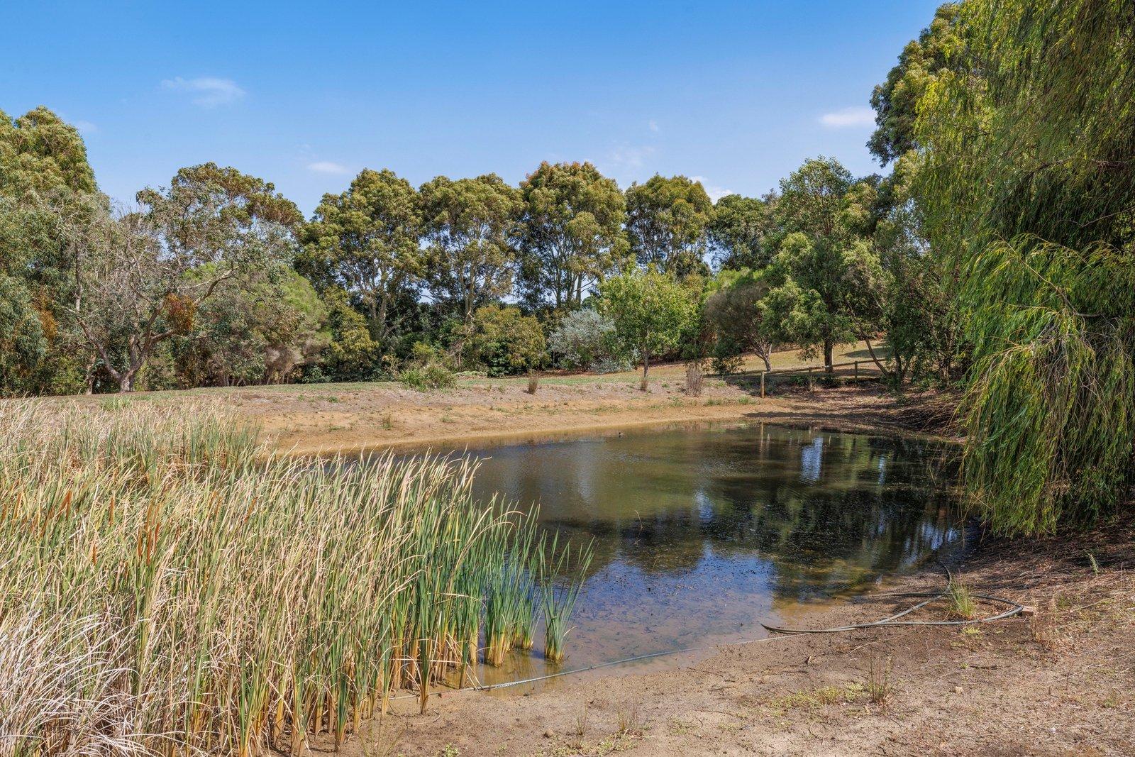 345 Stumpy Gully Road, Balnarring, 3926