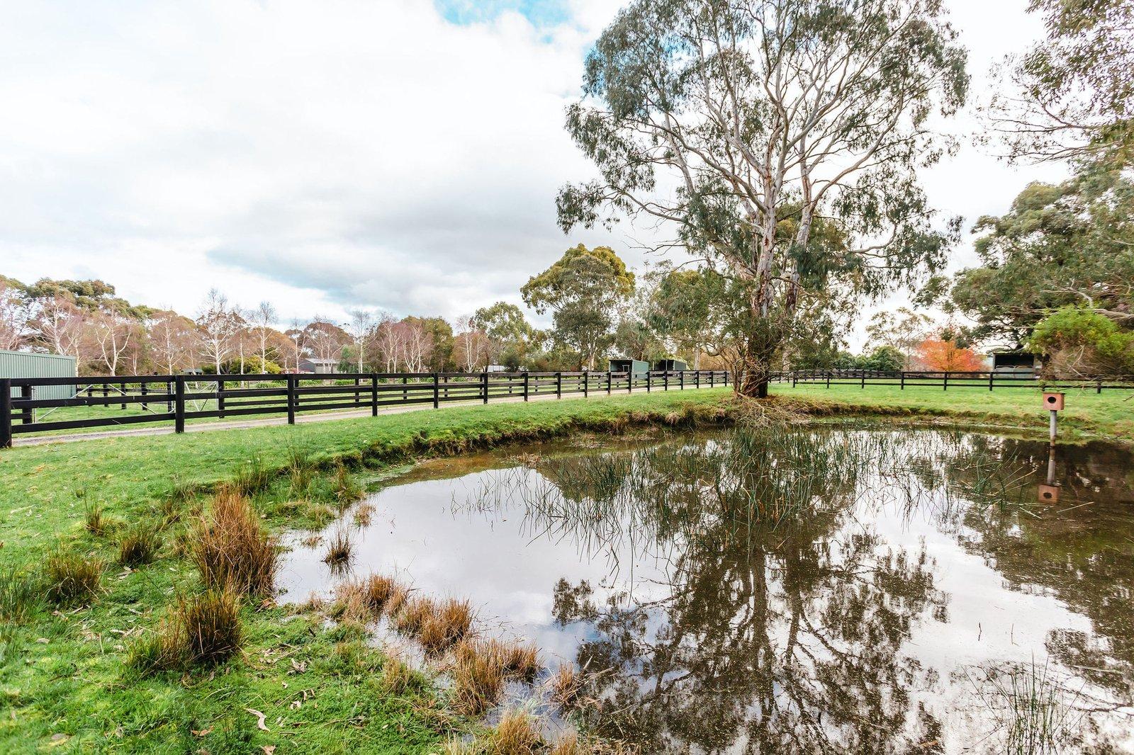 349 Stumpy Gully Road, Balnarring, 3926