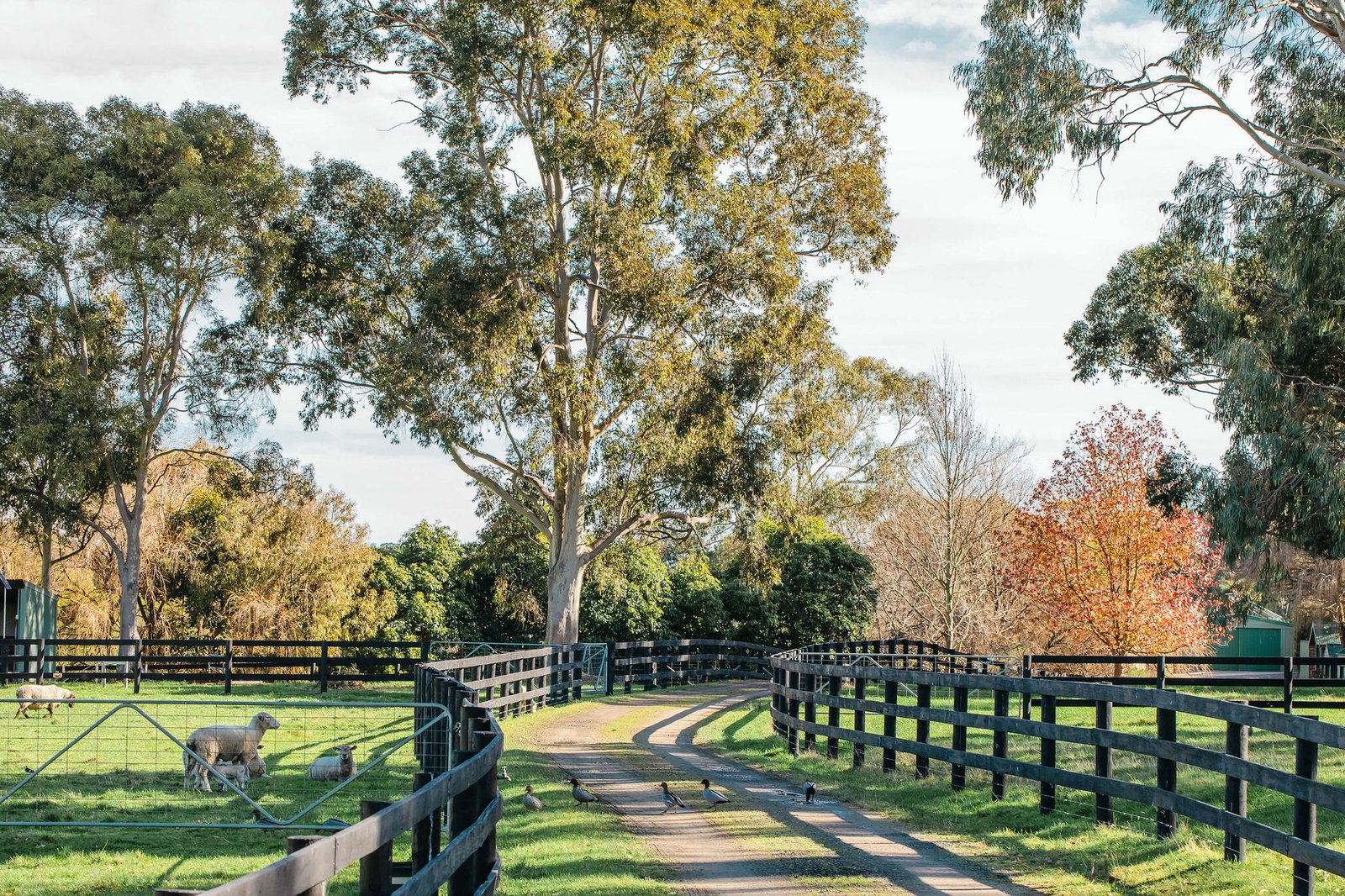 349 Stumpy Gully Road, Balnarring, 3926