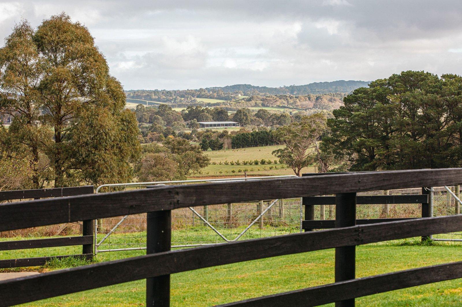 349 Stumpy Gully Road, Balnarring, 3926