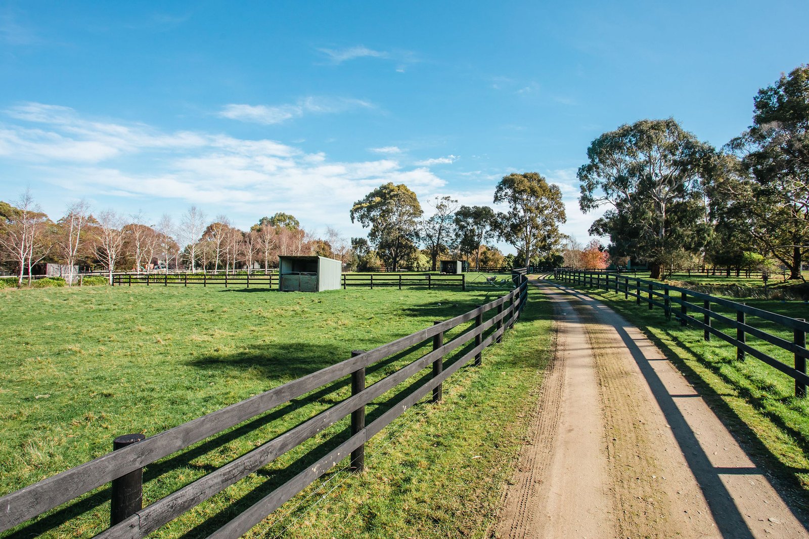349 Stumpy Gully Road, Balnarring, 3926