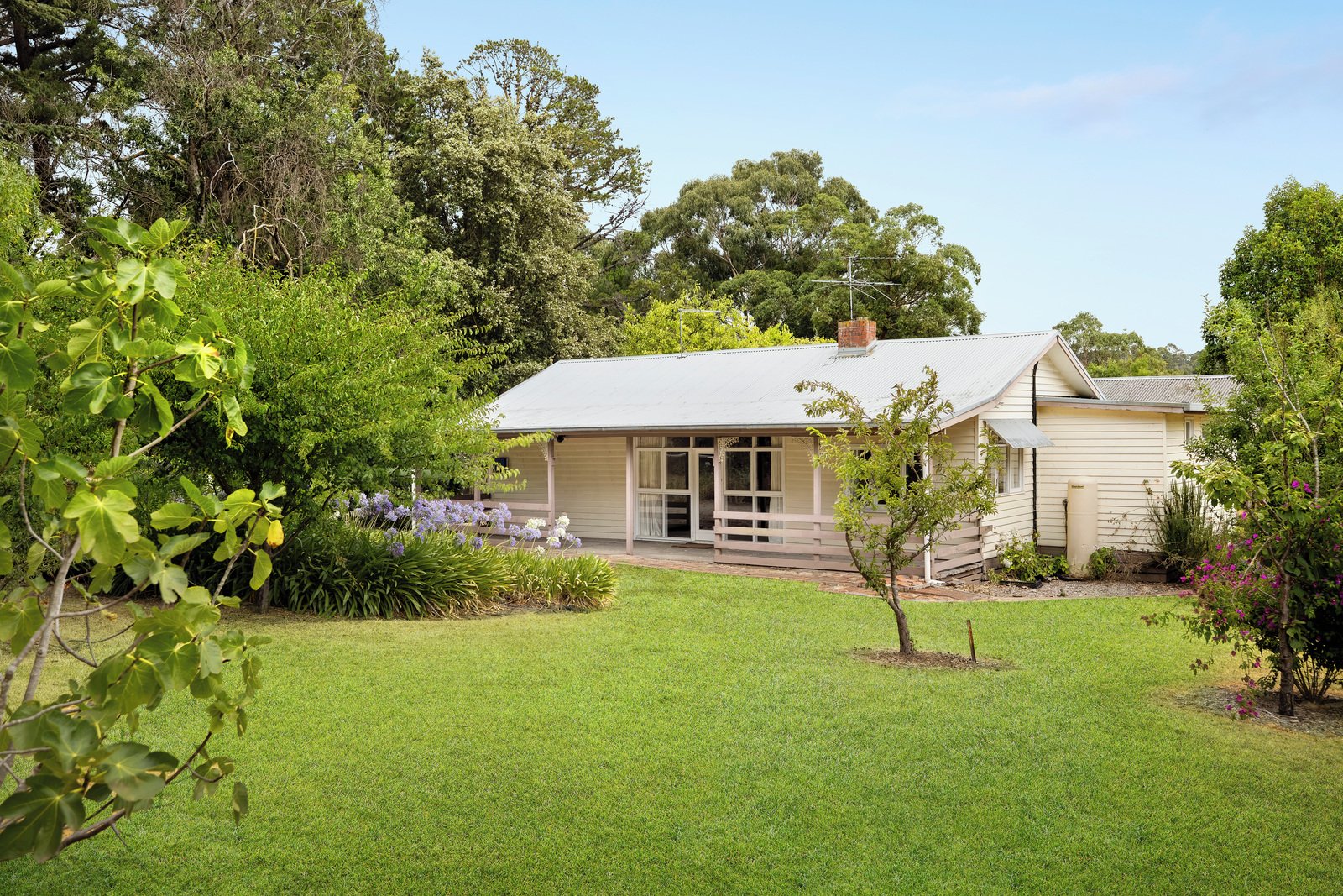 3650 Frankston Flinders Road, Merricks, 3916