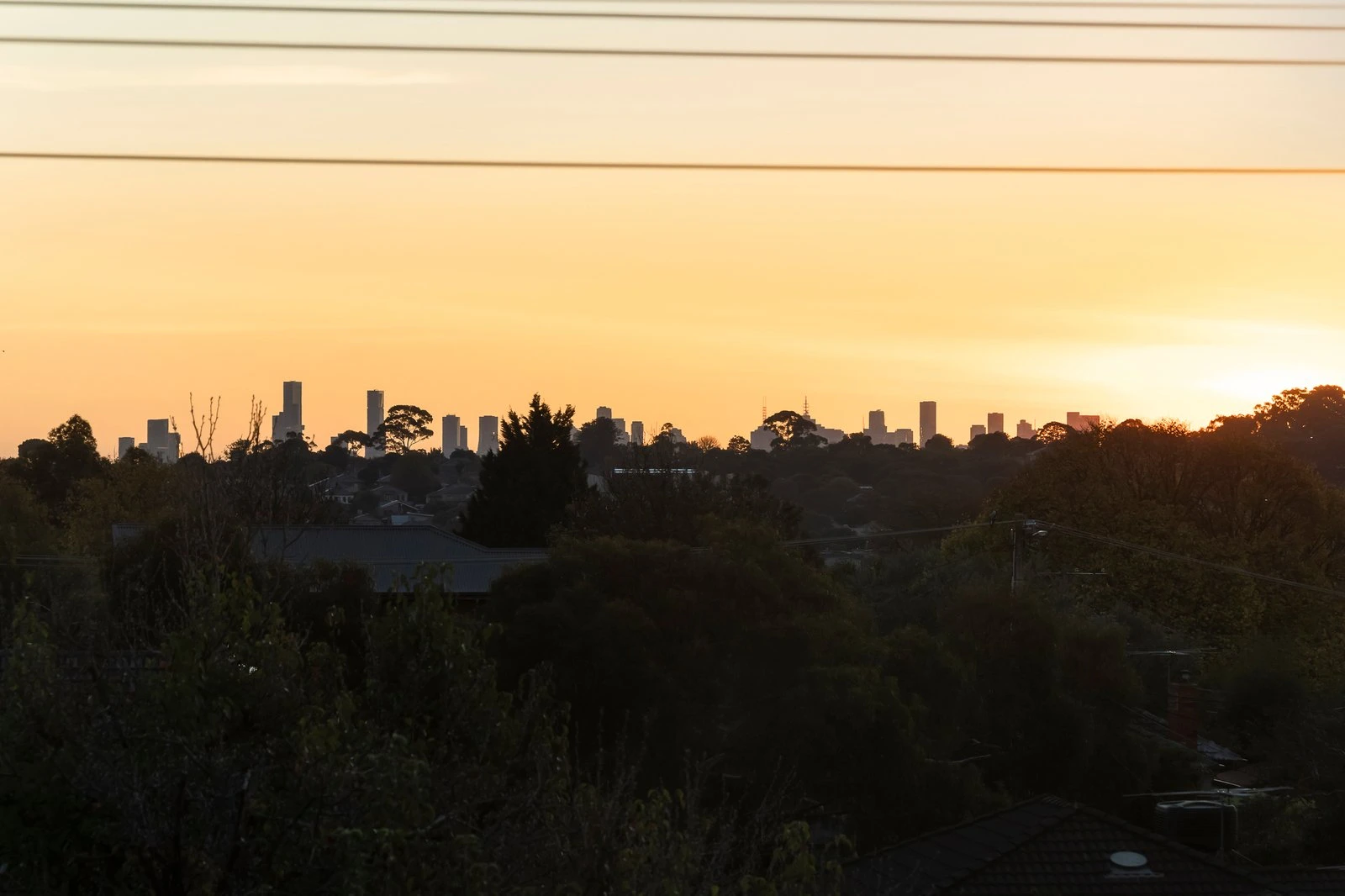 40 Andrews Street, Burwood, 3125