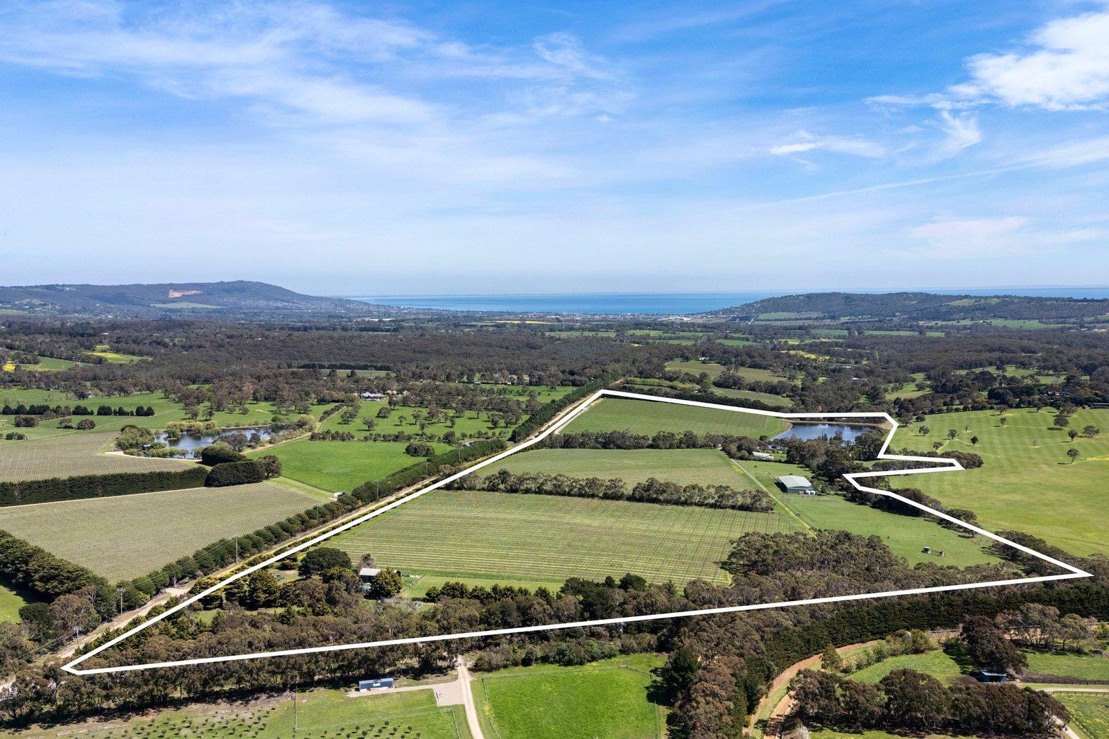 50 Foxeys Road, Tuerong, 3915