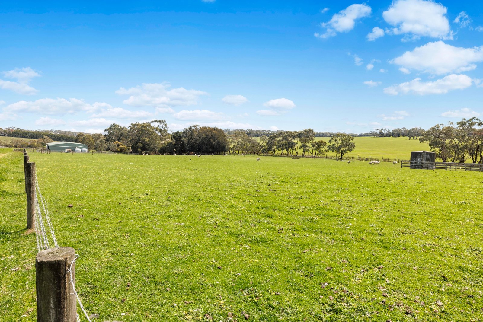 50 Foxeys Road, Tuerong, 3915