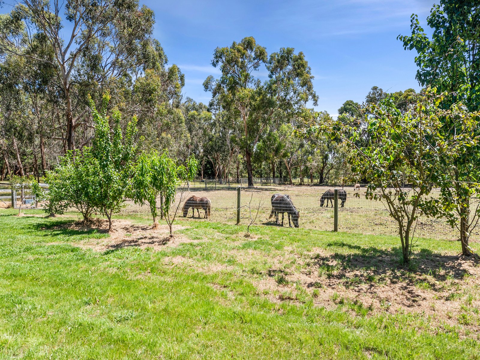 50 Hunts Road, Tuerong, 3915