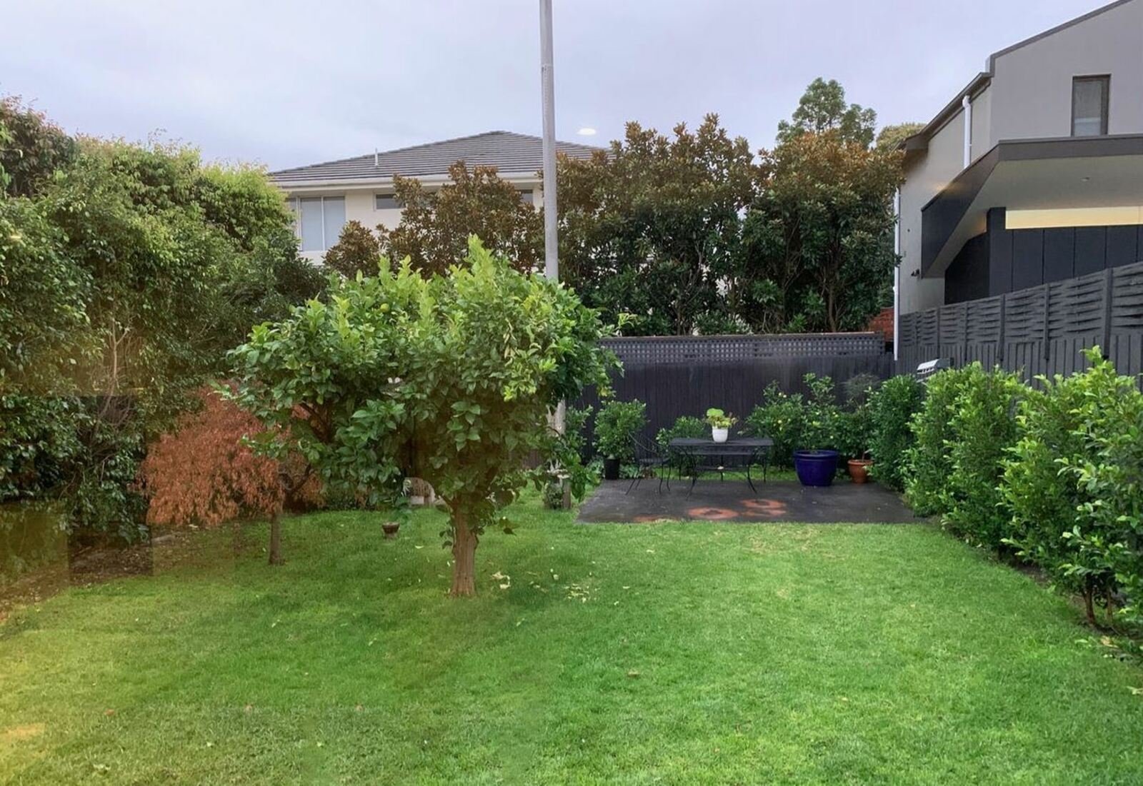 51 Elwood Street, Brighton, 3186