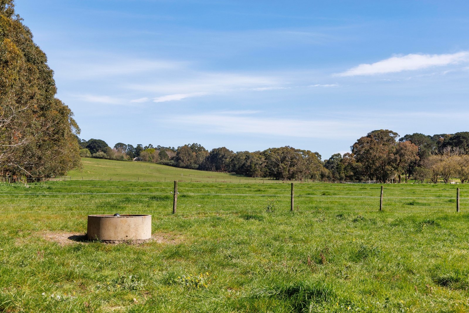 51 Stanleys Road, Merricks, 3916