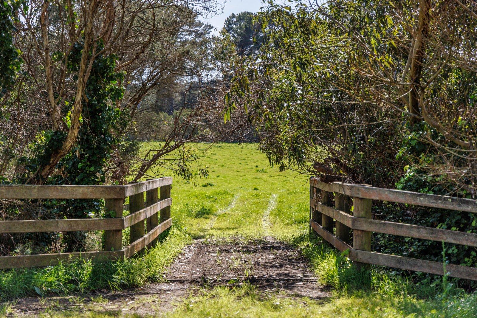 51 Stanleys Road, Merricks, 3916