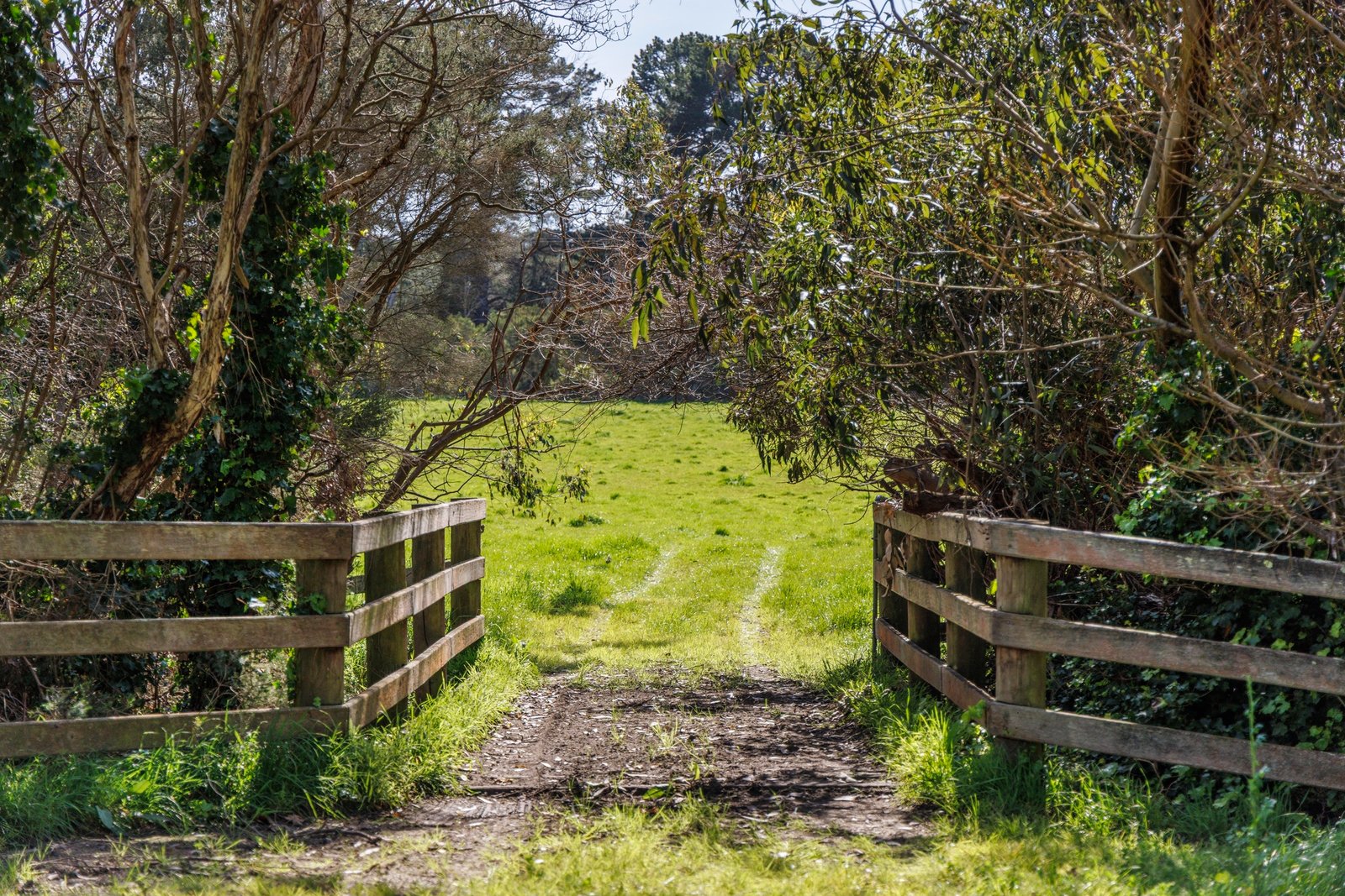 51 Stanleys Road, Merricks, 3916