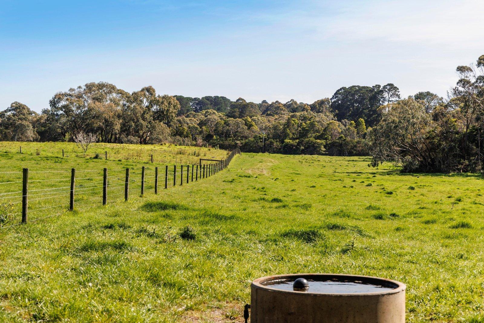 51 Stanleys Road, Merricks, 3916