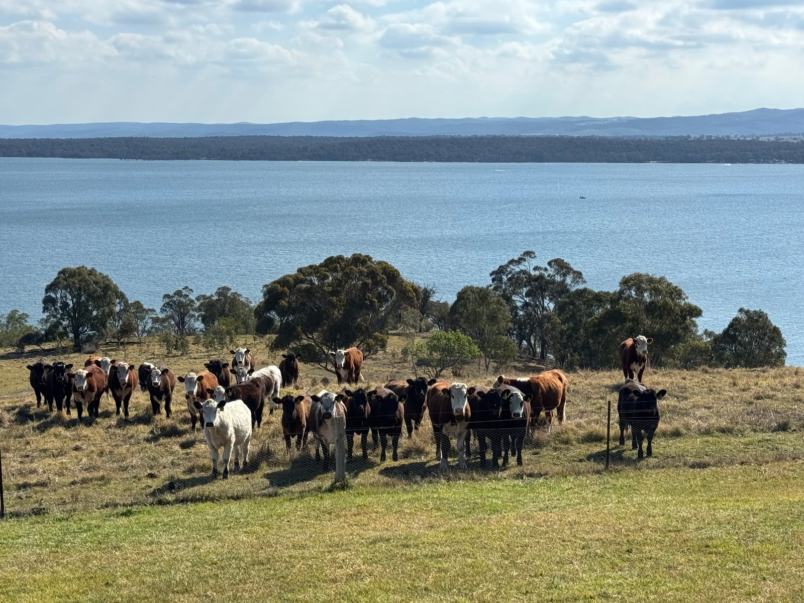53 Ryans Road, Coongulla, 3860