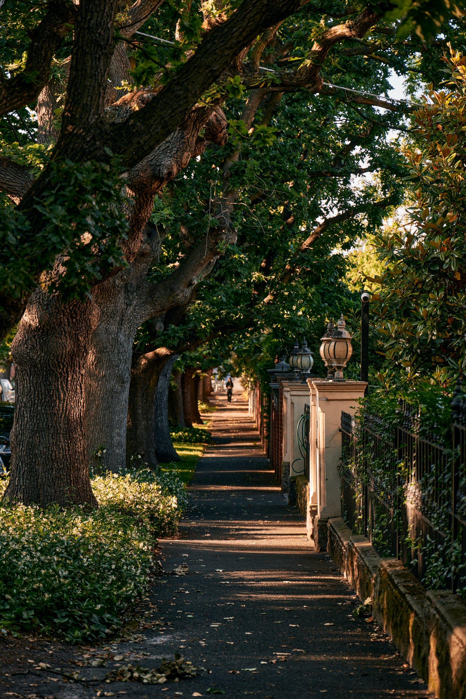 Grandview