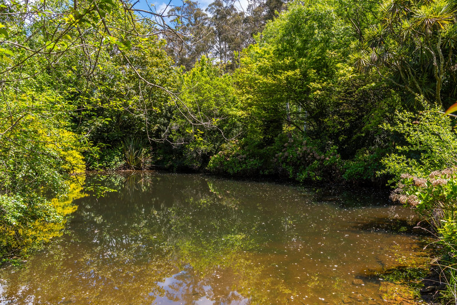 739 Mount Macedon Road, Mount Macedon, 3441