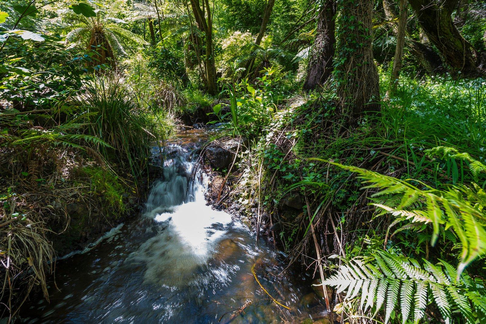 739 Mount Macedon Road, Mount Macedon, 3441
