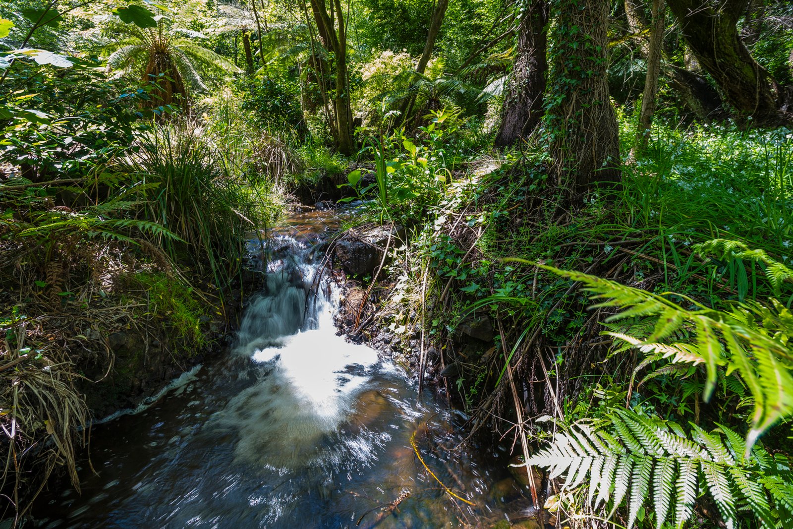 739 Mount Macedon Road, Mount Macedon, 3441