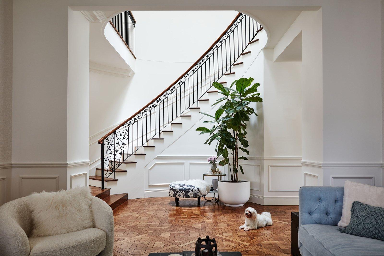 8 Beech Street, Camberwell, 3124