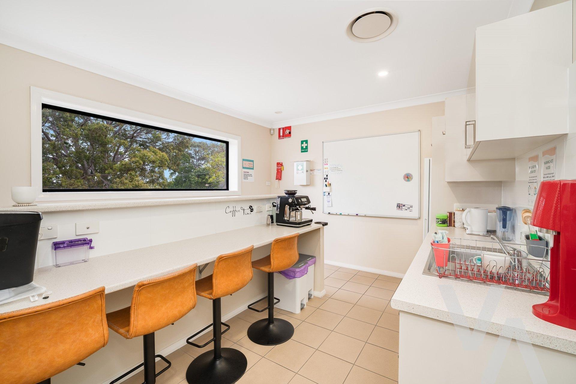 41 Maize Street Tenambit NSW