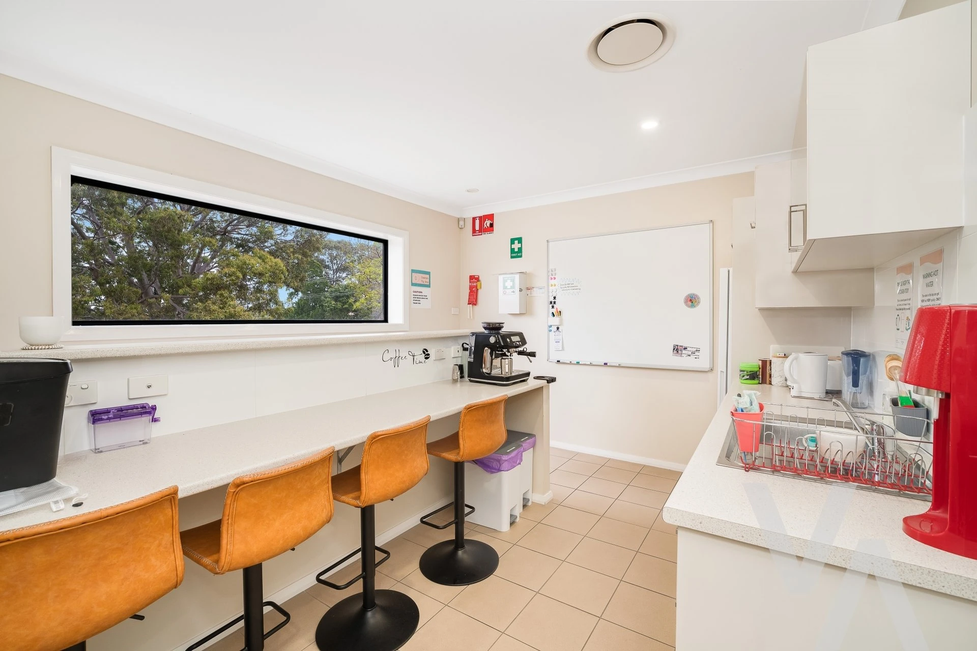 41 Maize Street Tenambit NSW