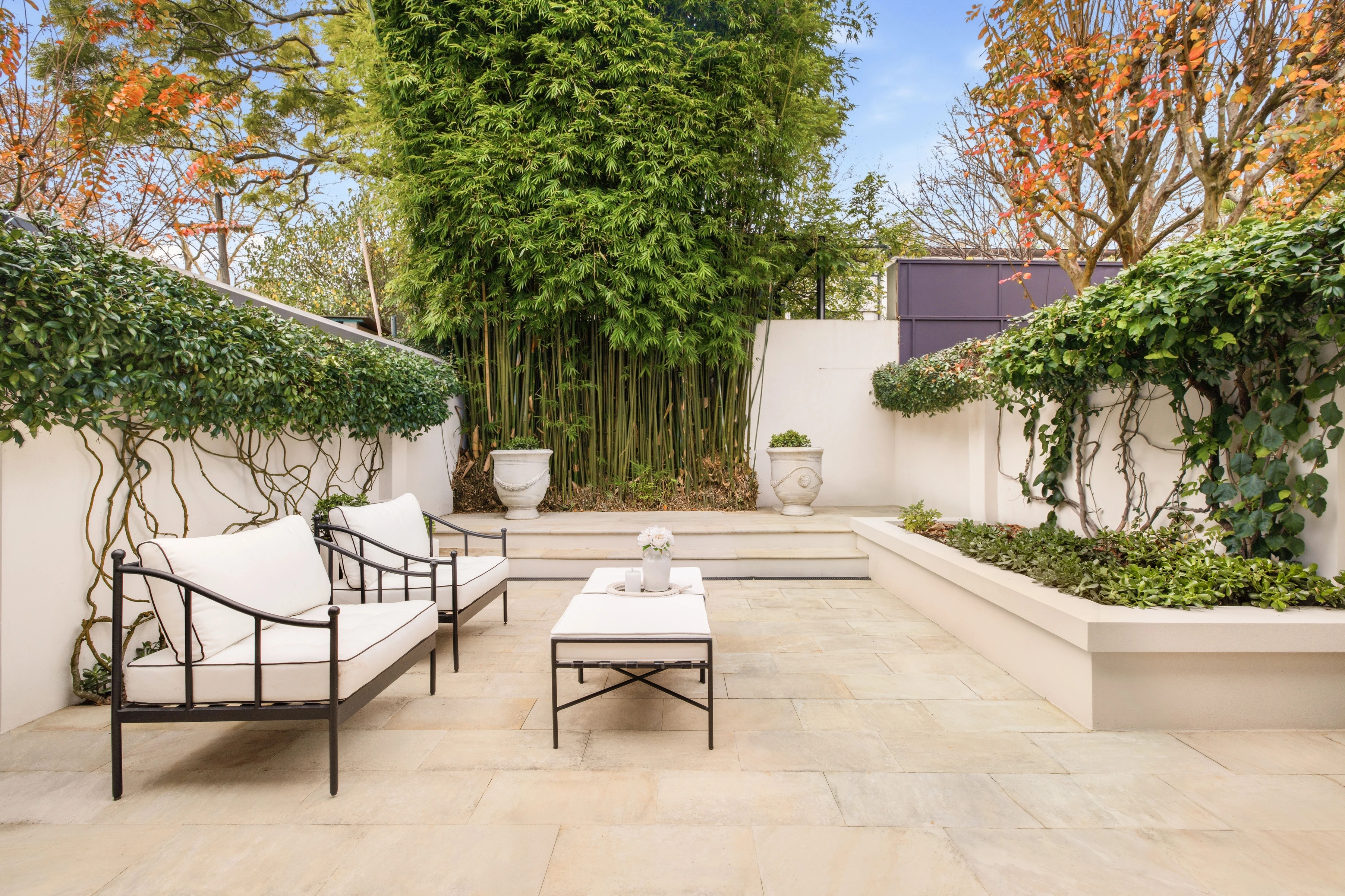 31 Spicer Street, Woollahra NSW